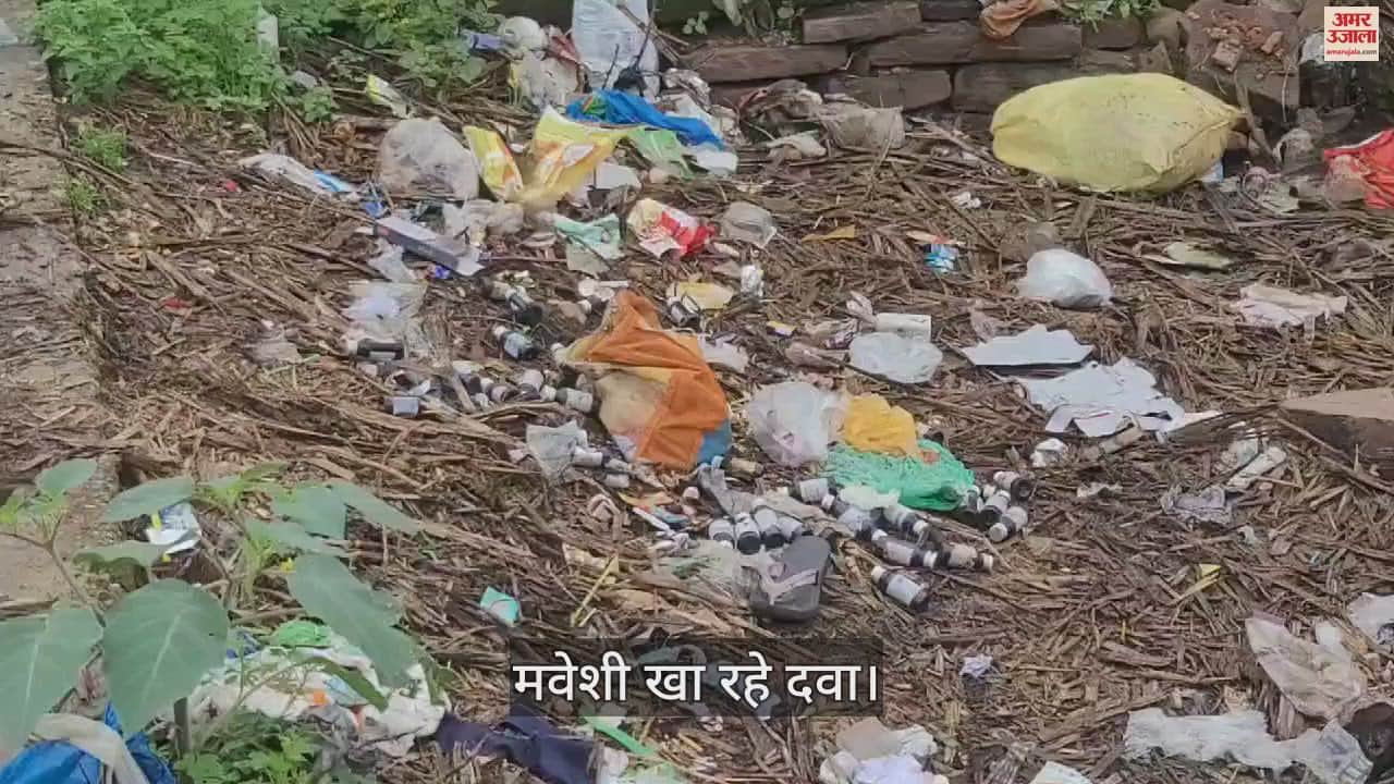 VIDEO : भाटापारा में फेंकी गई छत्तीसगढ सरकार द्वारा सप्लाई कि गई दवा, खा रहे मवेशी
