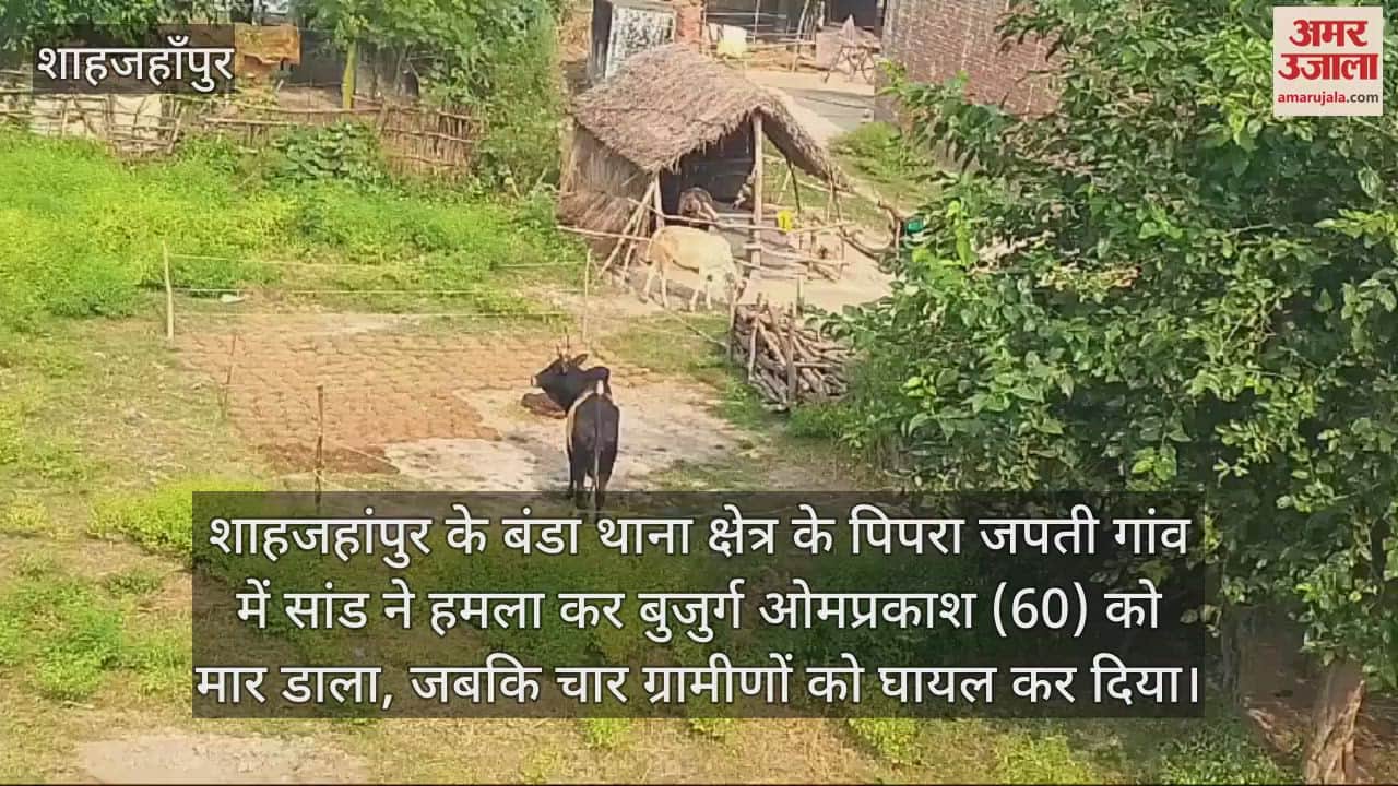 VIDEO : सांड ने मचाया आतंक, बुजुर्ग को पटककर मार डाला, चार ग्रामीण घायल