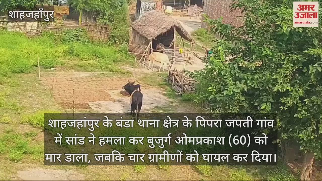 VIDEO : सांड ने मचाया आतंक, बुजुर्ग को पटककर मार डाला, चार ग्रामीण घायल