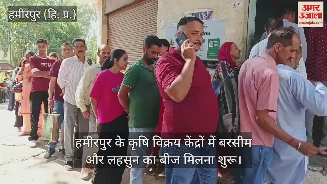 VIDEO : Berseem and garlic seeds started being available in agricultural sales centers of Hamirpur