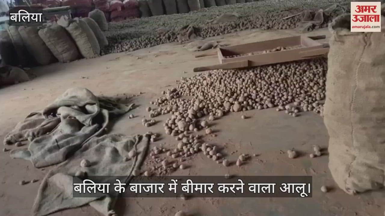 VIDEO : Ballia's potato makes people sick, potatoes coloured with artificial colours