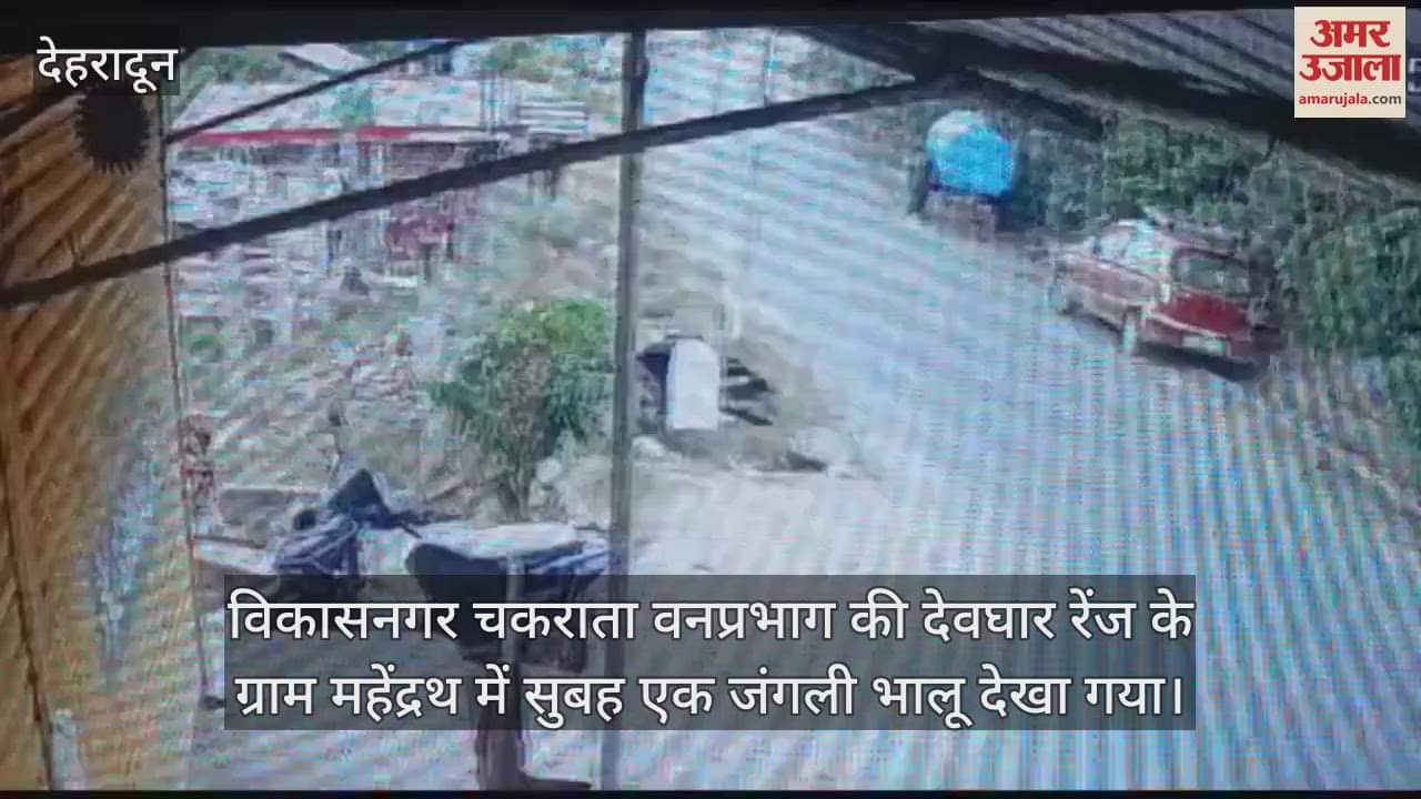 VIDEO : Wild bear seen in Devghar range Vikasnagar Dehradun News in hindi