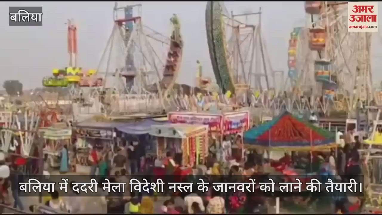 VIDEO : Dadri fair of Ballia, preparations to bring Gir cow to Nandi village