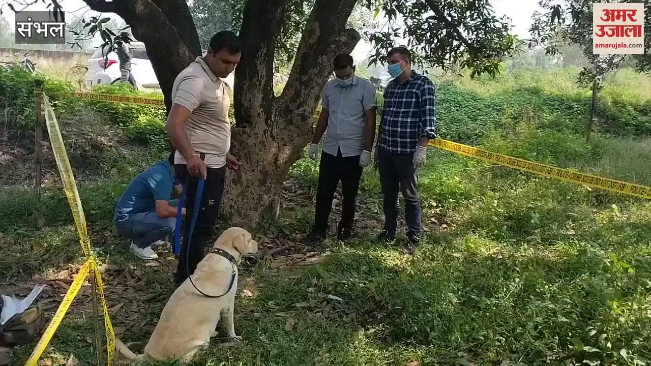 VIDEO : body of a young man missing for three days was found in a mango orchard, family members suspected murder