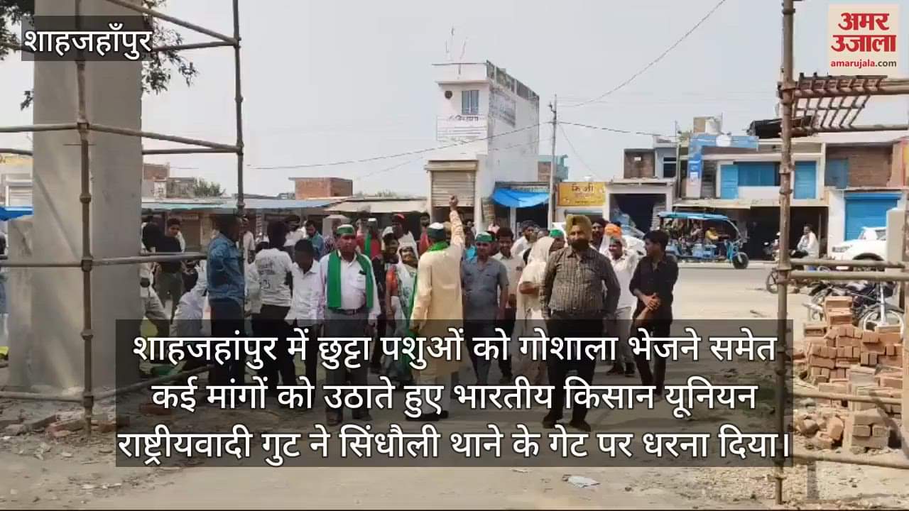 VIDEO : शाहजहांपुर में सड़कों पर घूम रहे गोवंश से किसान परेशान, थाना गेट पर किया धरना प्रदर्शन