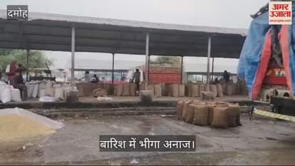Damoh News Farmers grain kept in market got wet due to rain post was not made on time