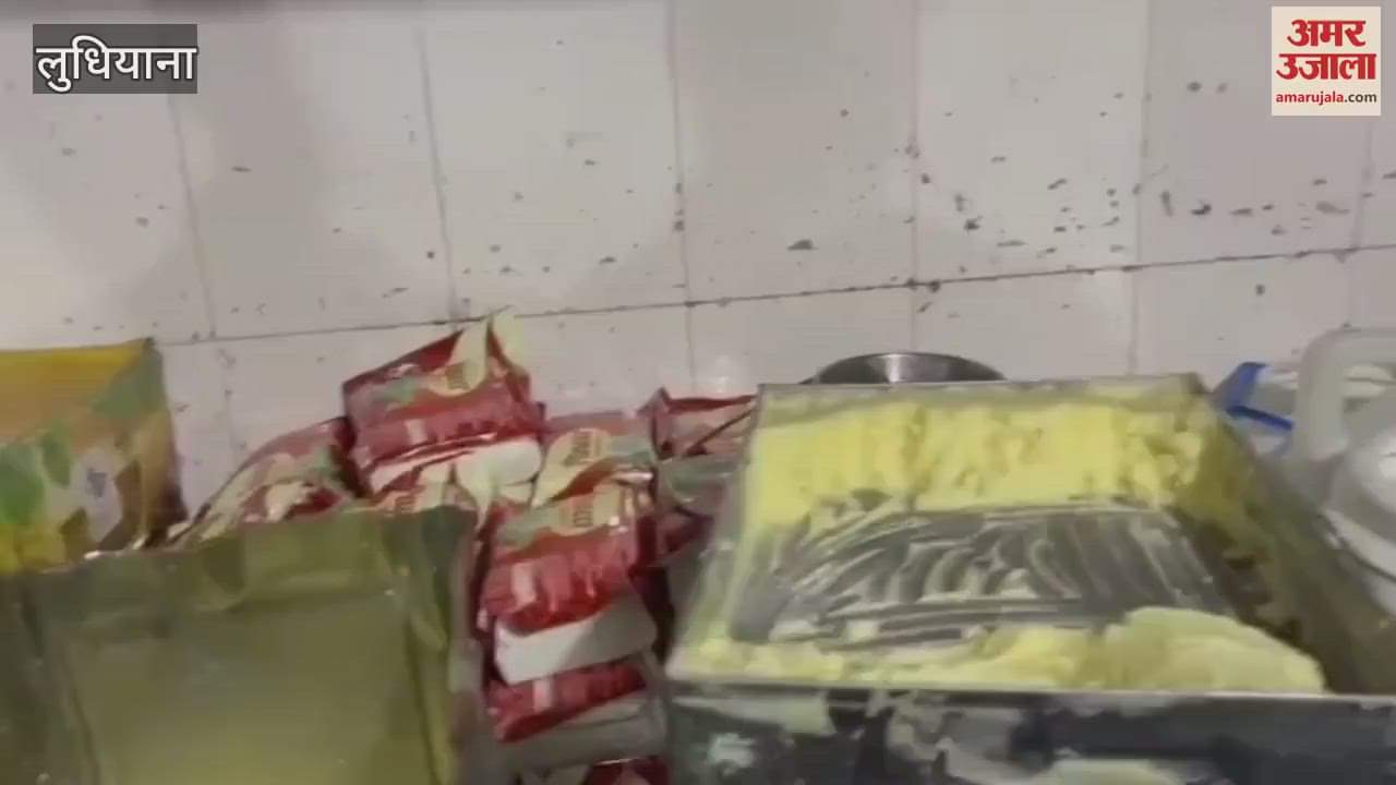 VIDEO : लुधियाना में राजस्थान से आया 600 किलो मिलावटी खोया जब्त