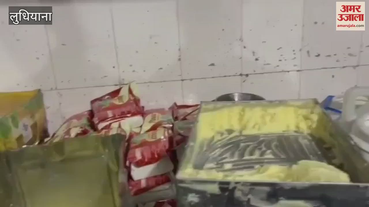 VIDEO : लुधियाना में राजस्थान से आया 600 किलो मिलावटी खोया जब्त