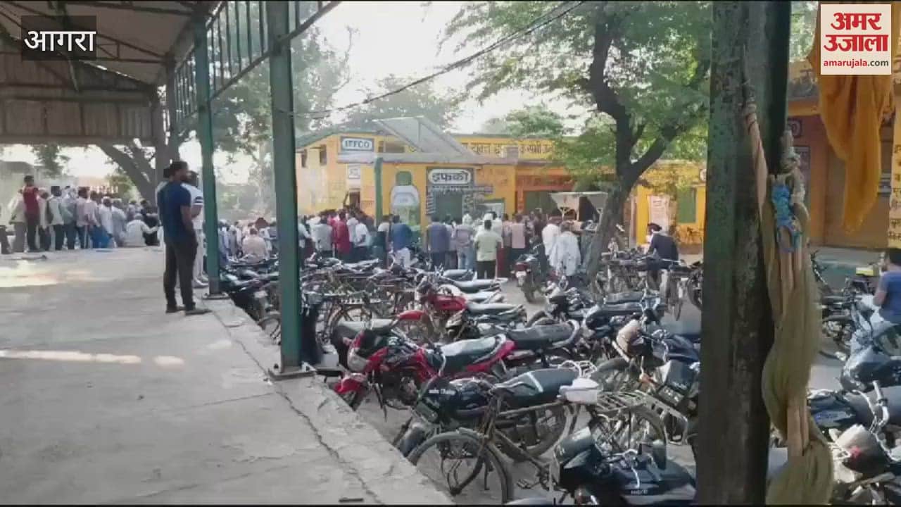 VIDEO : आगरा के अकोला में डीएपी के लिए मारा-मारी, क्षेत्रीय सहकारी समिति पर लगी लंबी लाइन