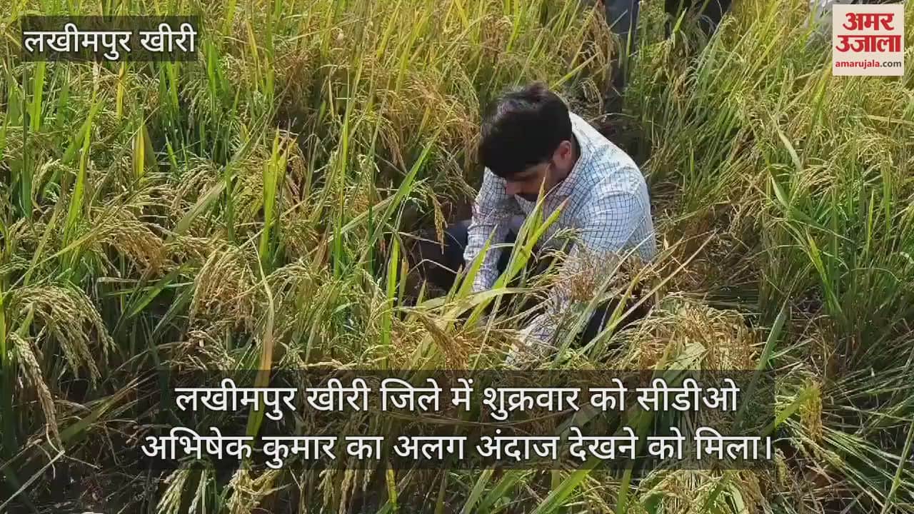 VIDEO : लखीमपुर खीरी में सीडीओ अभिषेक कुमार का अलग अंदाज, किसान के साथ काटी धान की फसल