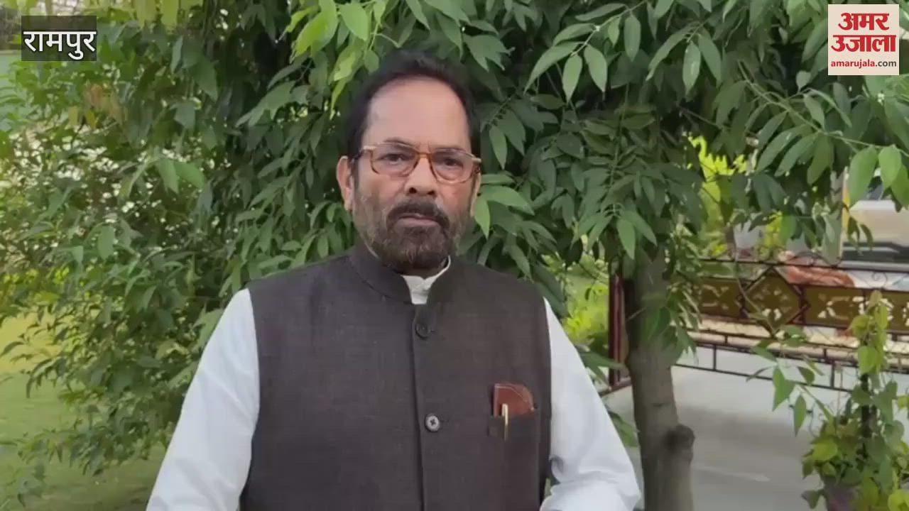VIDEO : Beating up rioters and beating up rioters is necessary, without this society cannot be safe: Naqvi