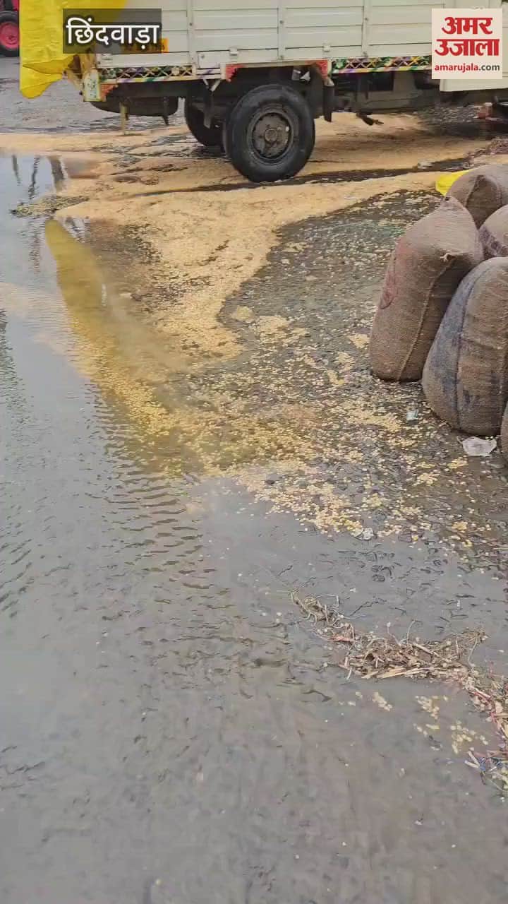 Goods of traders kept in mandi shed, farmers' food grains kept outside shed in rain