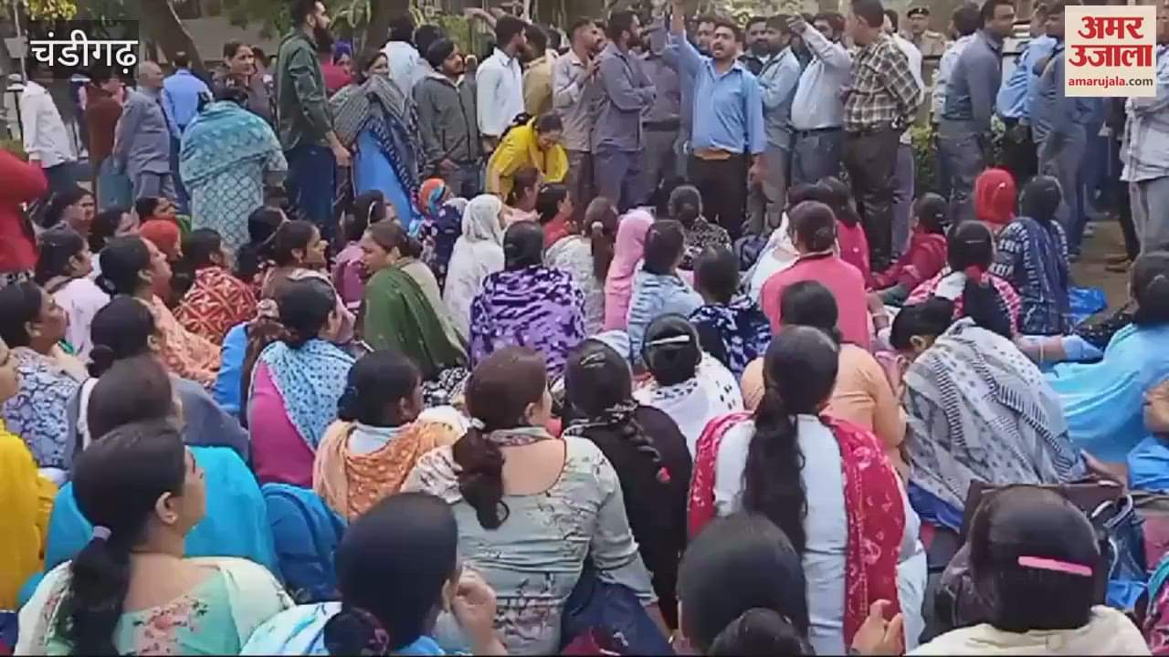 VIDEO : Despite High Court Order PGI Contract Workers Continues Strike