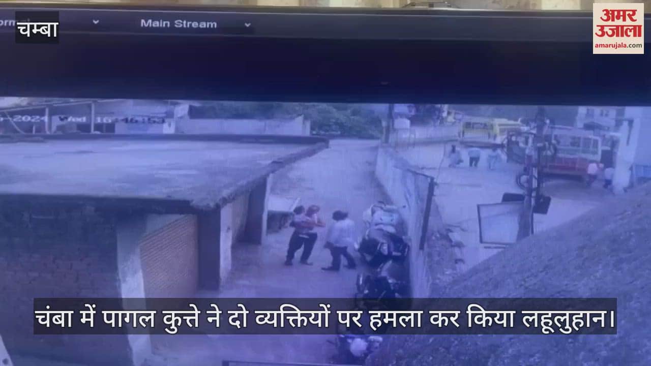 VIDEO : dog attacks two people in Chamba, leaves them bleeding; video goes viral