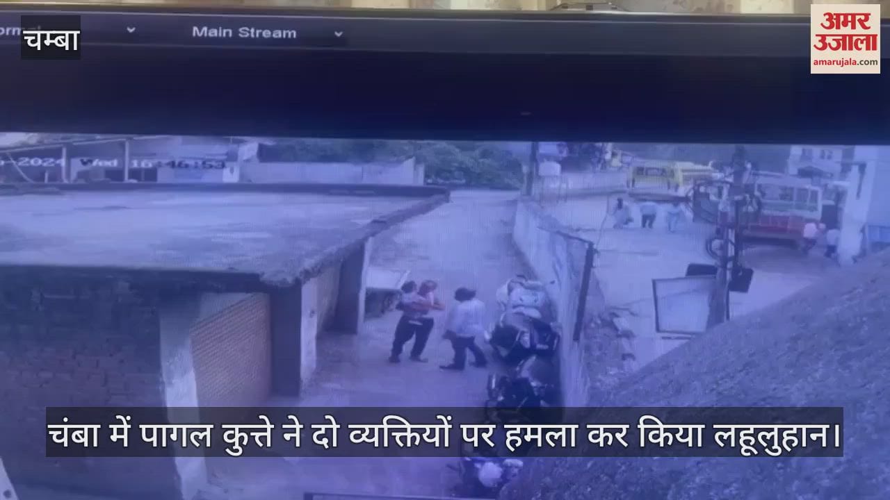 VIDEO : dog attacks two people in Chamba, leaves them bleeding; video goes viral