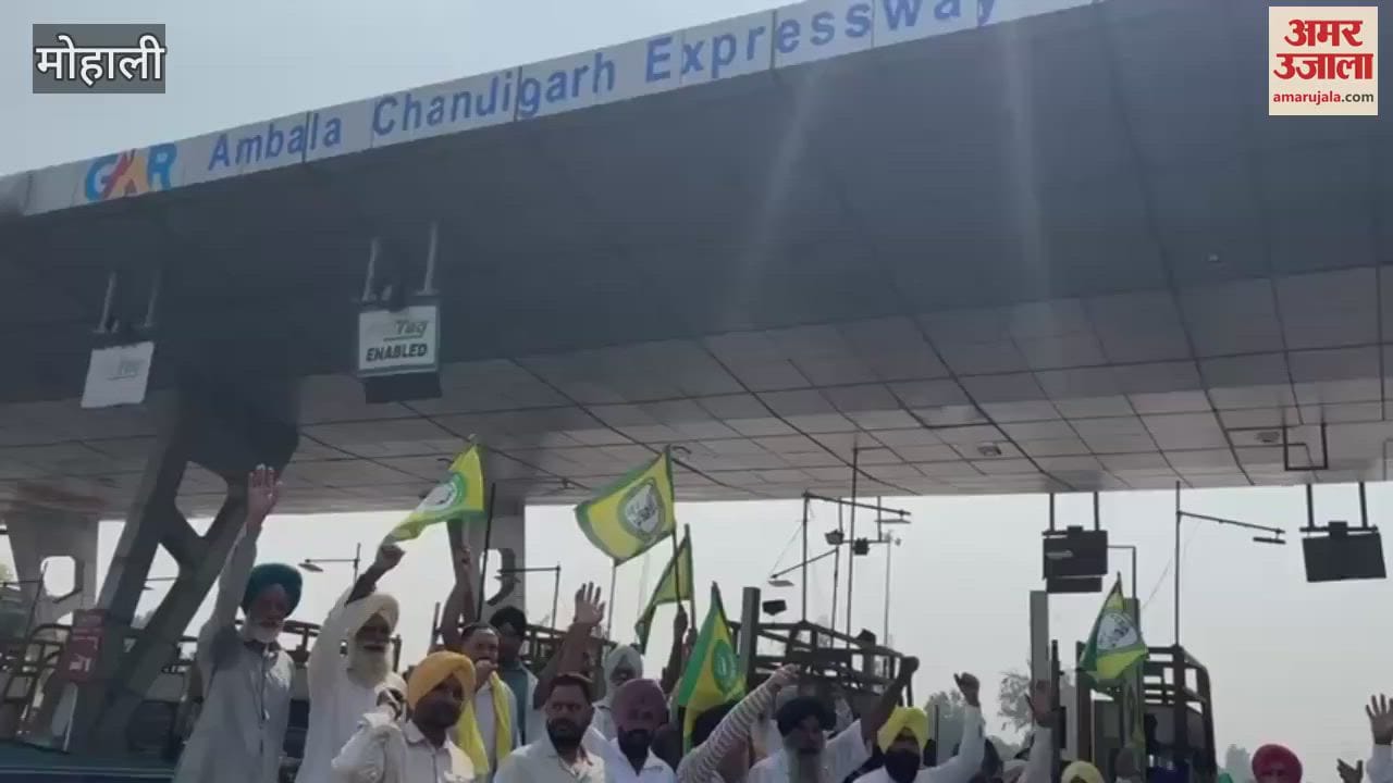 VIDEO : Toll free protest in Punjab in protest against non-purchase of paddy by BKU Ugrahan