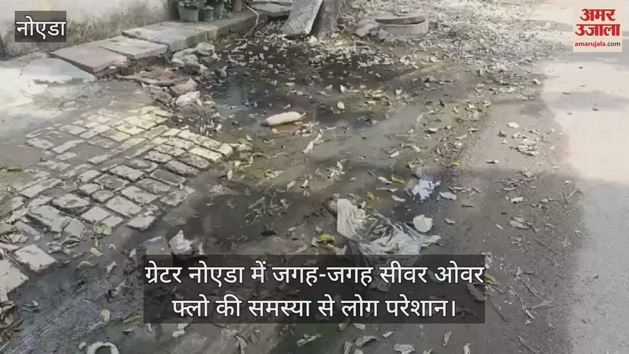VIDEO : ग्रेटर नोएडा के सेक्टर अल्फा-2 में जगह-जगह सीवर ओवर फ्लो, स्थानीय लोगों ने बताई समस्याएं
