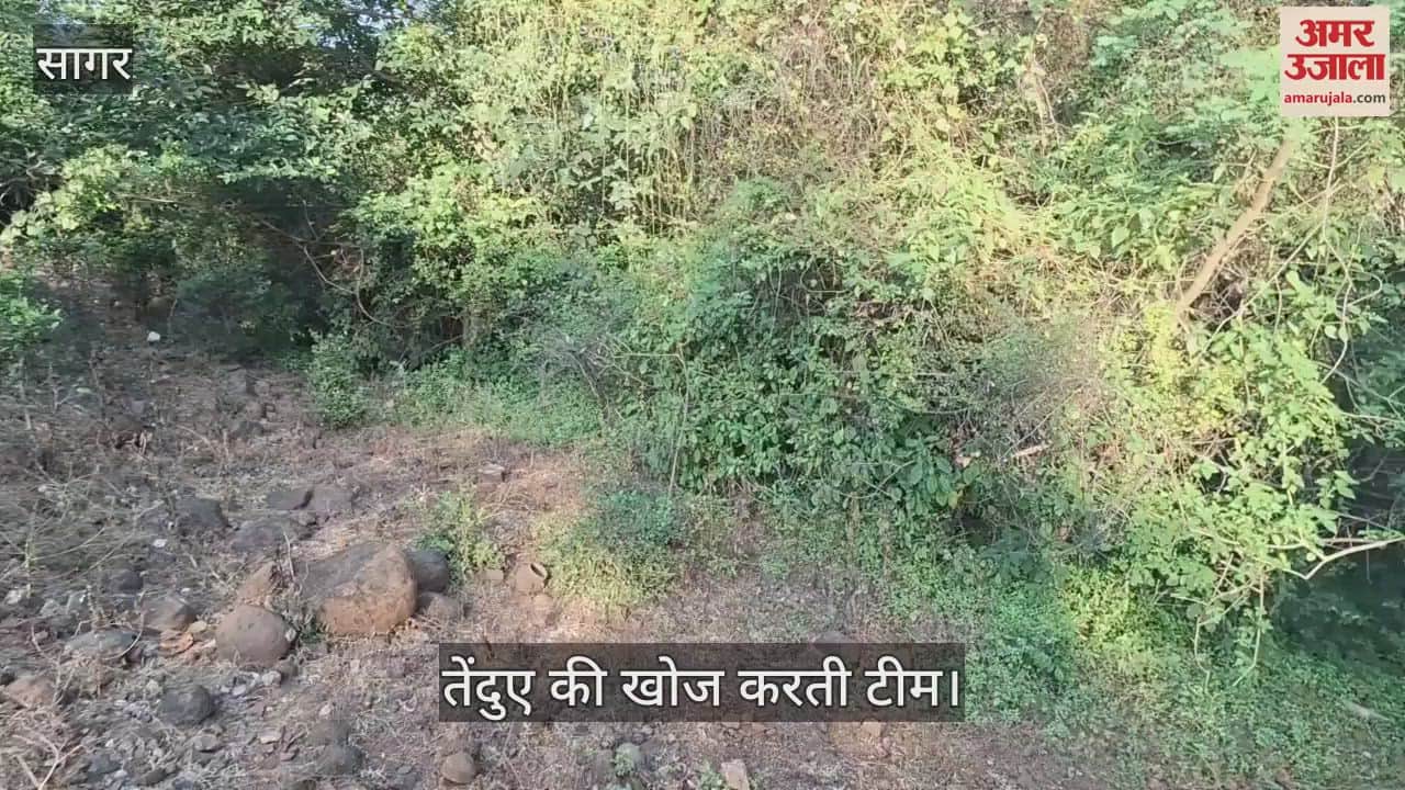Forest staff searched for the leopard family roaming in the university campus