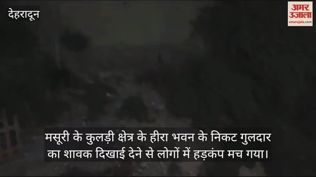 VIDEO : Leopard cub spotted in Kuldi area of Mussoorie people in panic