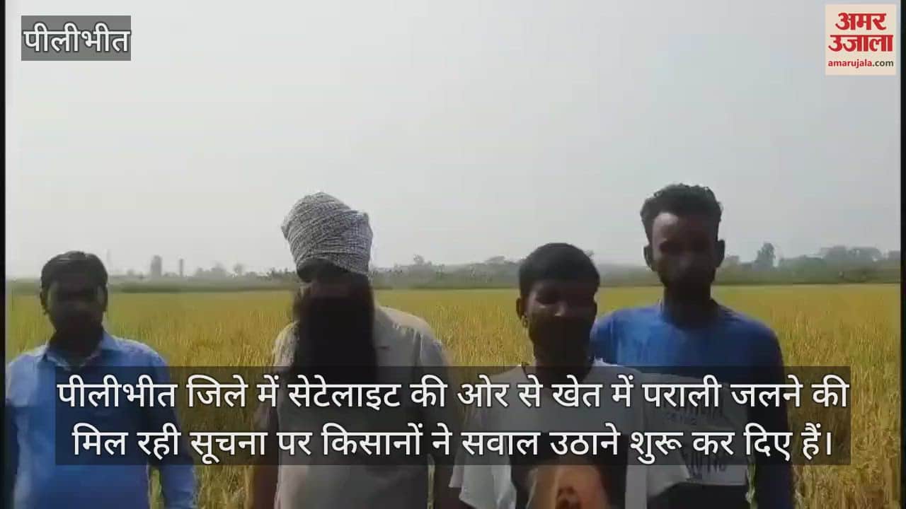 VIDEO : खेत पर लगी थी धान की फसल, सेटेलाइट से मिली पराली जलने की गलत सूचना