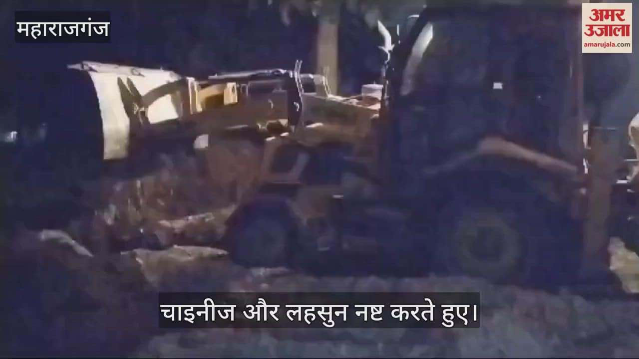 VIDEO : 16 tons of Chinese garlic and 10 boxes of kiwi destroyed