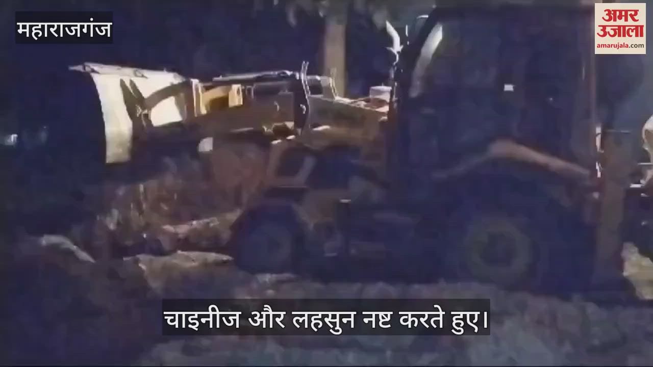 VIDEO : 16 tons of Chinese garlic and 10 boxes of kiwi destroyed