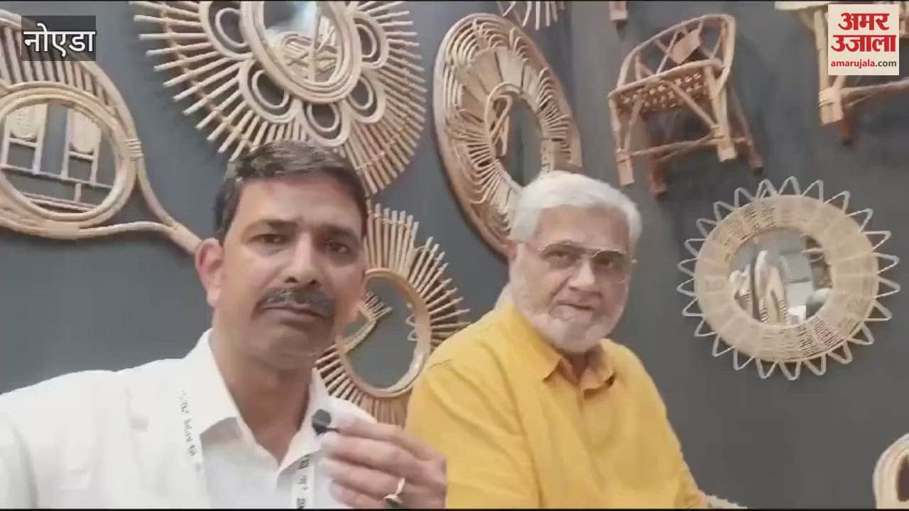 VIDEO : बांस से फर्नीचर और घर का अन्य सामान करते हैं तैयार, ग्रेटर नोएडा में हस्तशिल्प मेले में आए राजन पुरी से बातचीत