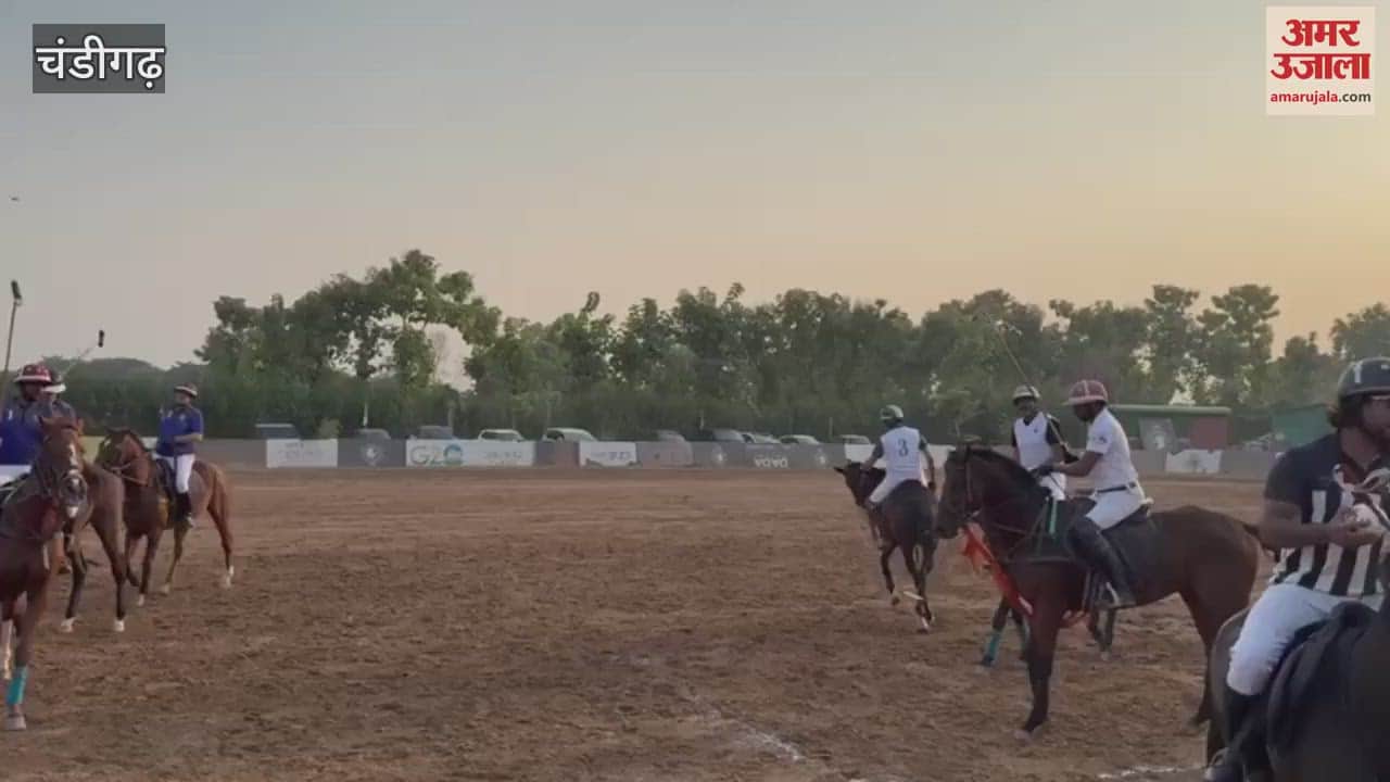VIDEO : exhibition match of Polo in Chandigarh