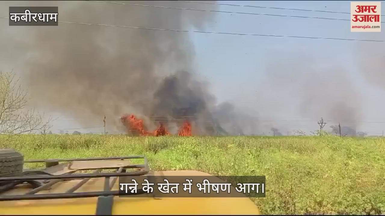 VIDEO : More than 20 acres of sugarcane field caught fire in Kabirdham farmers suffered losses worth lakhs