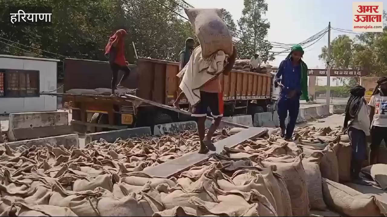 VIDEO : Charkhi Dadri grain market lifting increases, 13,892 quintals of millet lifted