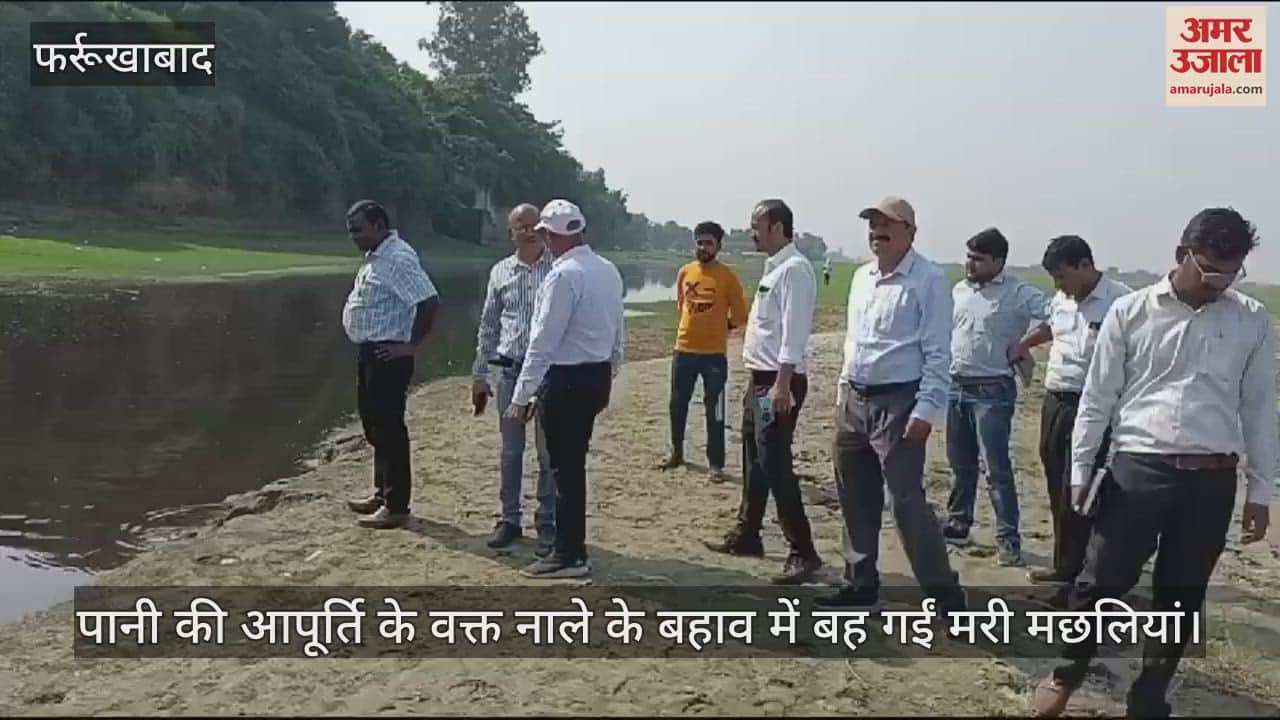 VIDEO : प्रदूषित पानी में मर गईं लाखों मछलियां, प्रदूषण नियंत्रण बोर्ड समेत पांच विभागों के अफसरों ने की जांच, नमूने लिए