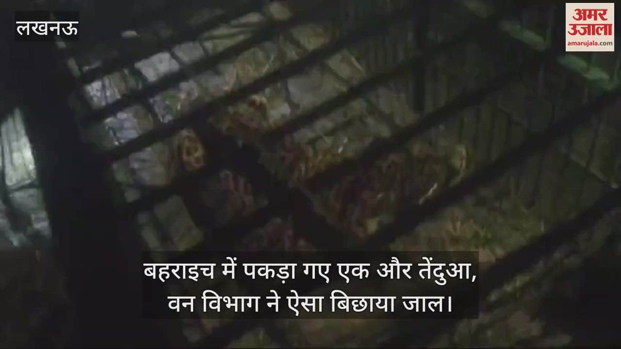 VIDEO : बहराइच में पकड़ा गए एक और तेंदुआ, वन विभाग ने ऐसा बिछाया जाल