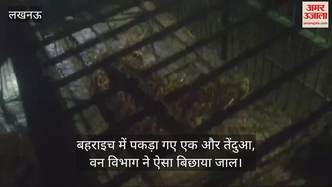 VIDEO : बहराइच में पकड़ा गए एक और तेंदुआ, वन विभाग ने ऐसा बिछाया जाल