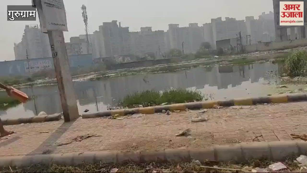 VIDEO : Pond made of dirty sewage water in vacant plot in Gurugram Sector 37 C