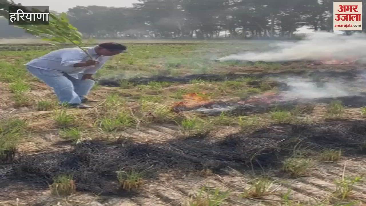 VIDEO : Burning crop residue found in village Mahalana in Sonipat, team extinguished the fire, 40 locations found so far, 31 wrong