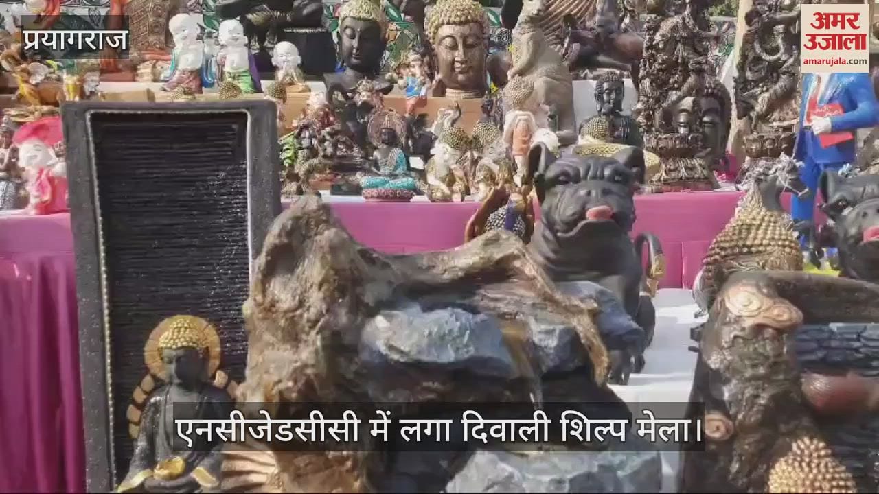 VIDEO : The artefacts in NCZCC are enthralling the people, people are mesmerized after seeing the workmanship.