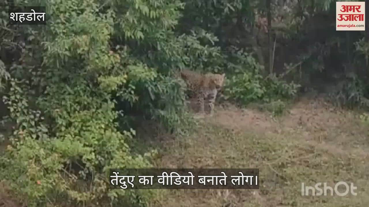 Leopard attacked people who went for picnic, three injured including a policeman, people in panic