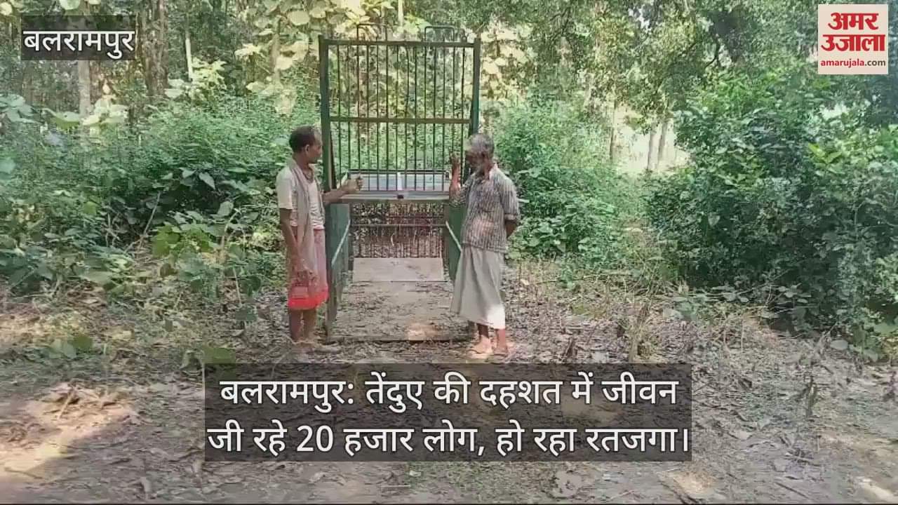 VIDEO : बलरामपुर: तेंदुए की दहशत में जीवन जी रहे 20 हजार लोग, हो रहा रतजगा