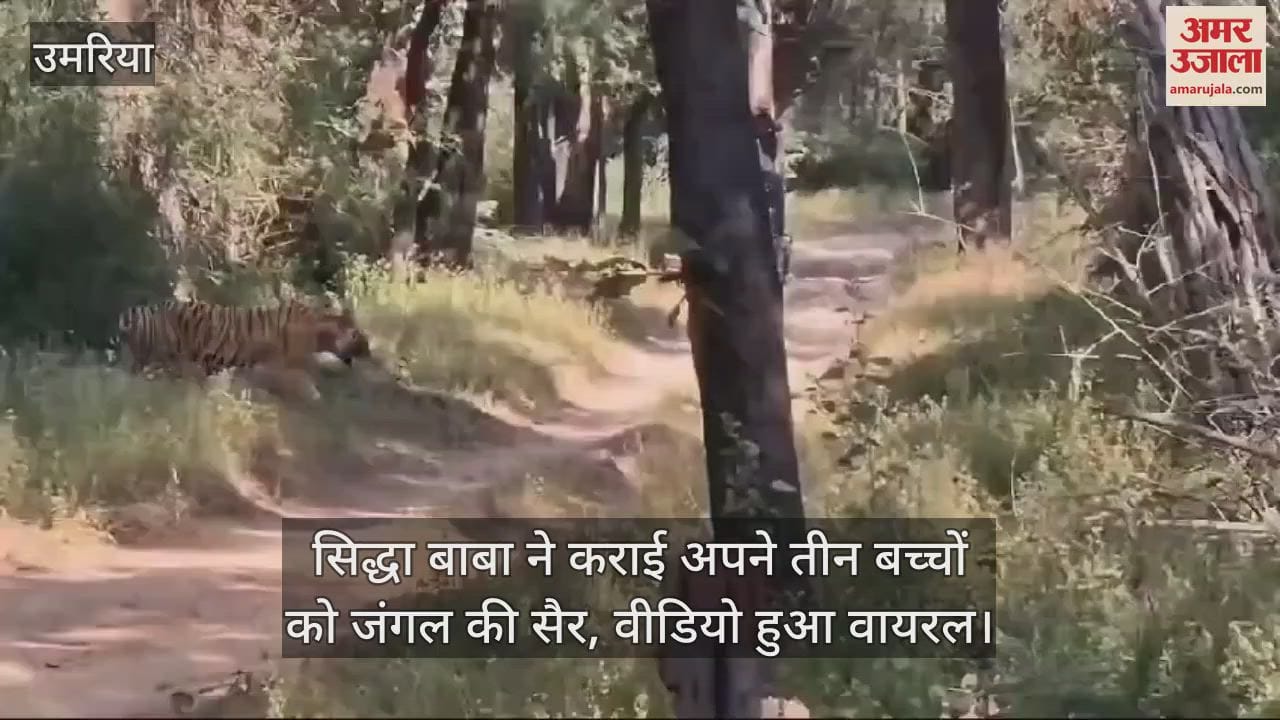 Umaria News Siddha Baba took his three children on a jungle tour video went viral