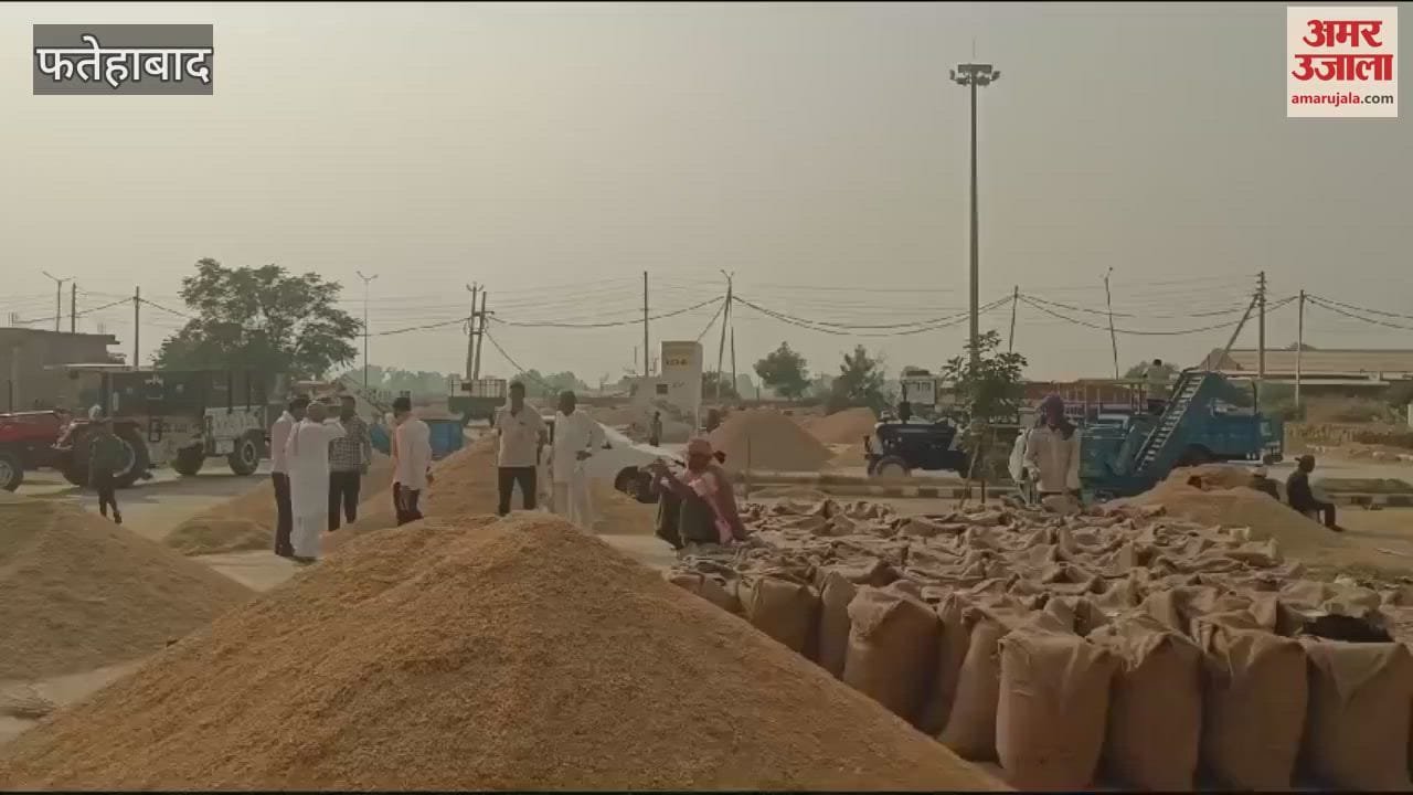 VIDEO : There is no space in the grain markets of Fatehabad, paddy crop has to be kept outside on the roads