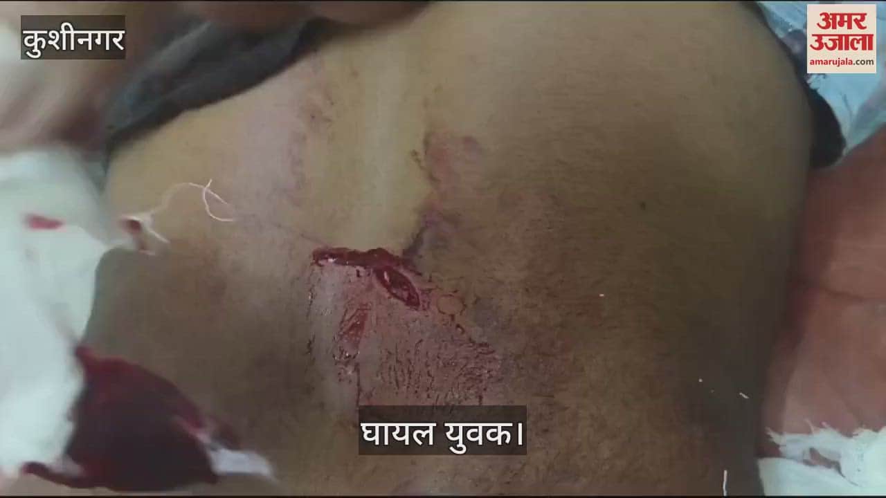 VIDEO : In a mutual dispute in Kushinagar, Manbadh injured a young man by stabbing him.