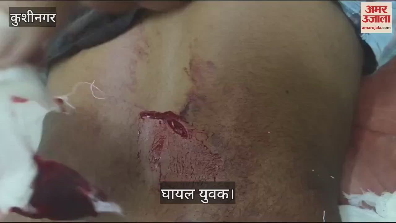 VIDEO : In a mutual dispute in Kushinagar, Manbadh injured a young man by stabbing him.