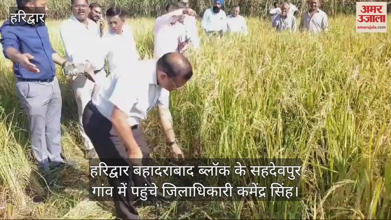 VIDEO : Haridwar DM harvested paddy crop in the fields