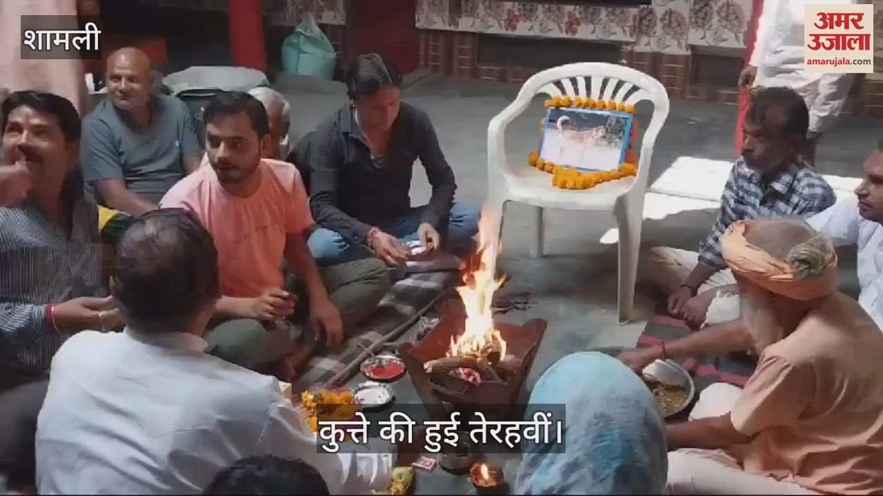 VIDEO : dog died in Shamli, the villagers performed the last rites and tehranvi