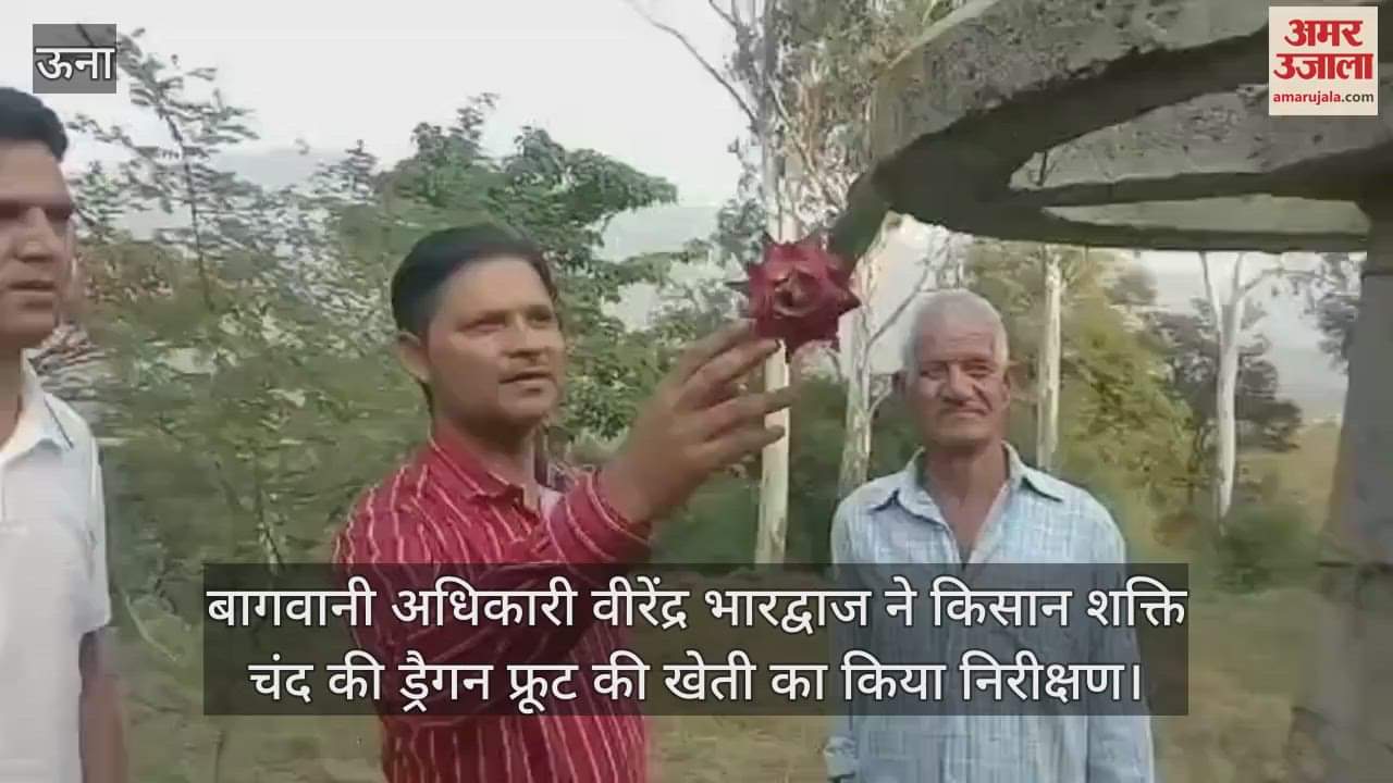 VIDEO : Horticulture officer Virendra Bhardwaj inspected the dragon fruit cultivation of farmer Shakti Chand