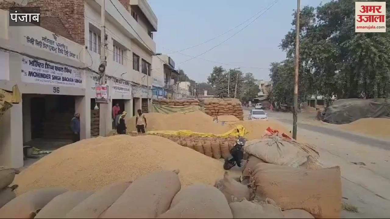 VIDEO : एशिया की सबसे बड़ी अनाज मंडी खन्ना में लगे धान के अंबार