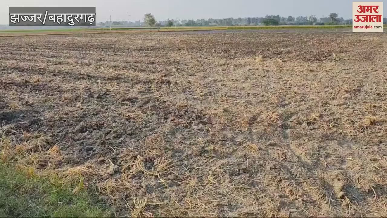 VIDEO : Jhajjar DC said - NGT guidelines will be followed, farmers should not burn stubble