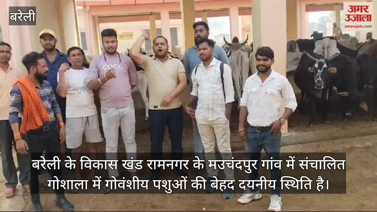 VIDEO : गोशाला में गायों का हाल देख भड़के अंतरराष्ट्रीय हिंदू परिषद के कार्यकर्ता, धरना प्रदर्शन