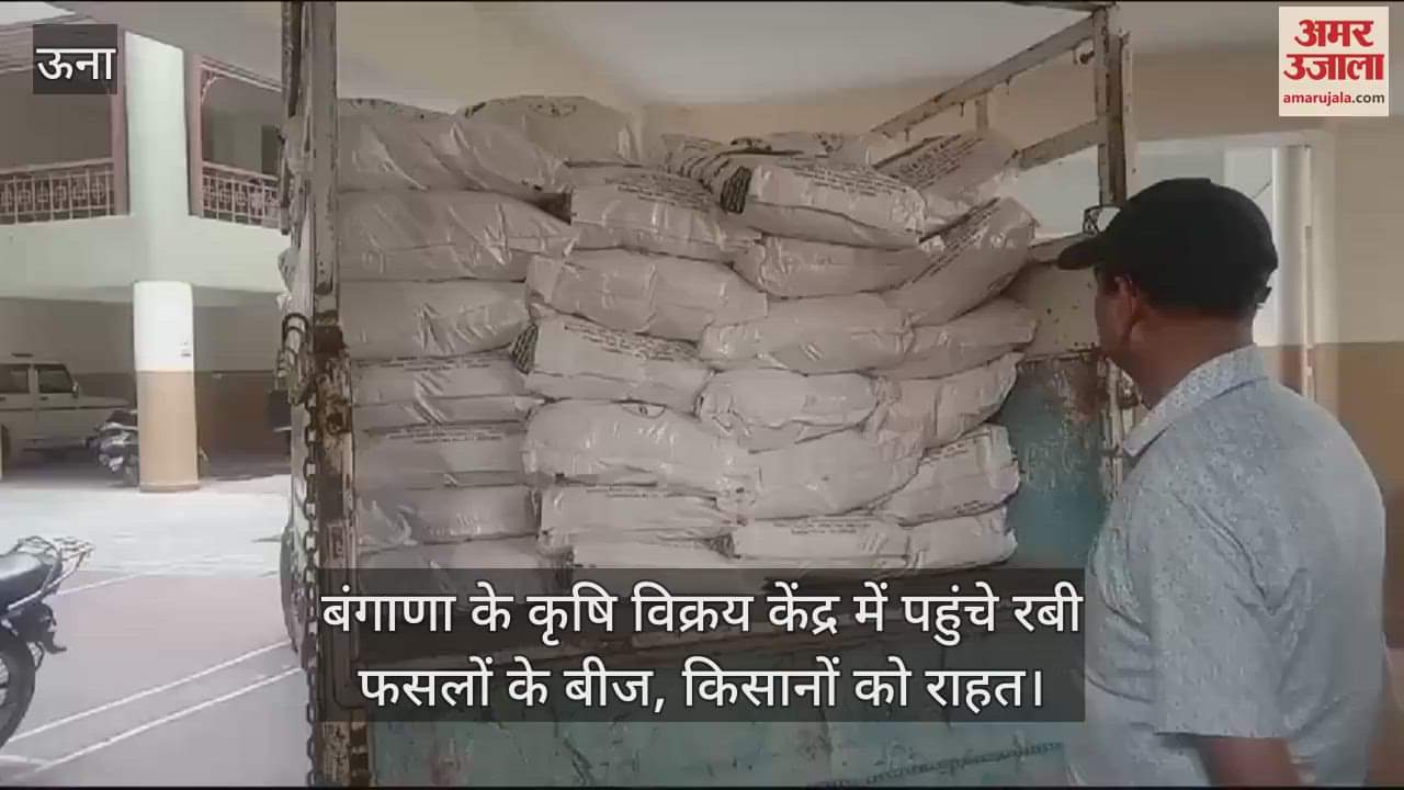 VIDEO : Seeds of Rabi crops reached the agricultural sales center of Bangana, relief to farmers