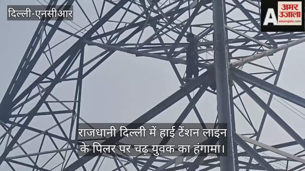 VIDEO : youth created a ruckus by climbing on a high tension line pillar in Yamuna Khadar Delhi